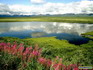 Alaska JIgsaw